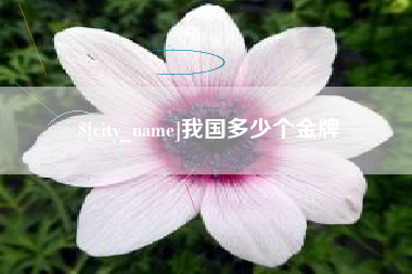 新沂我国多少个金牌