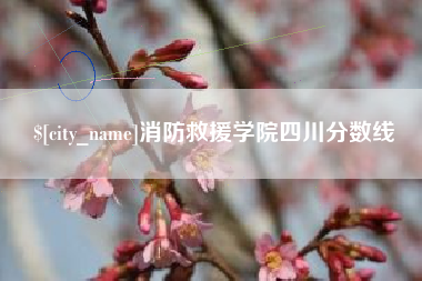 新沂消防救援学院四川分数线