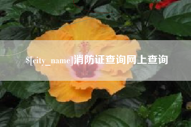 新沂消防证查询网上查询