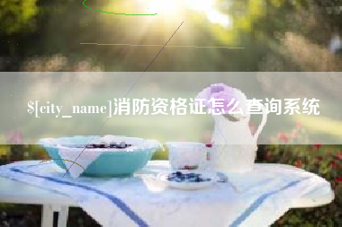 新沂消防资格证怎么查询系统