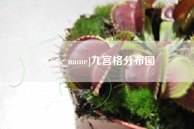 新沂九宫格分布图