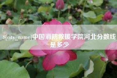 新沂中国消防救援学院河北分数线是多少
