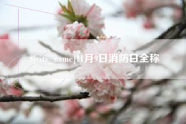 新沂11月9日消防日全称