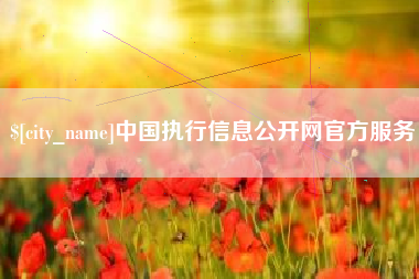 新沂中国执行信息公开网官方服务