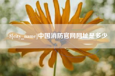 新沂中国消防官网网址是多少