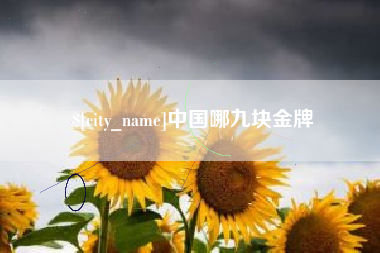新沂中国哪九块金牌