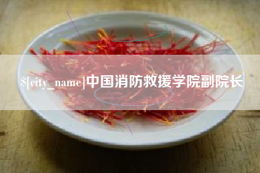 新沂中国消防救援学院副院长