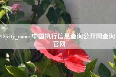 新沂中国执行信息查询公开网查询官网