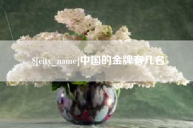 新沂中国的金牌有几名