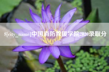 新沂中国消防救援学院2020录取分