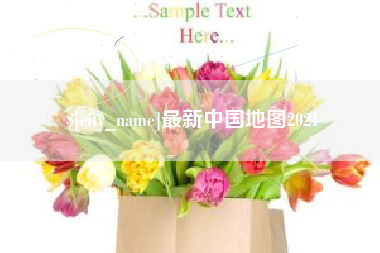 新沂最新中国地图2021