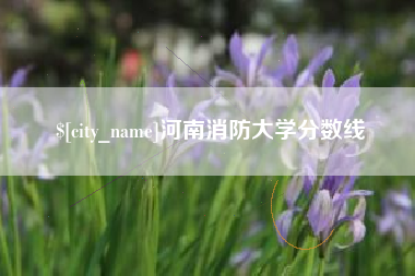 新沂河南消防大学分数线