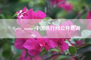 新沂中国执行网公开查询