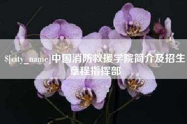 新沂中国消防救援学院简介及招生章程指挥部
