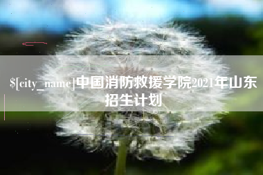 新沂中国消防救援学院2021年山东招生计划