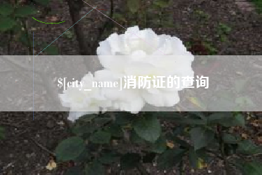 新沂消防证的查询