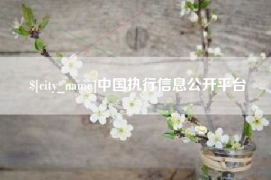 新沂中国执行信息公开平台