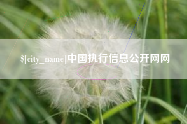 新沂中国执行信息公开网网