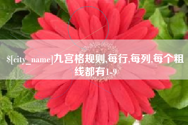 新沂九宫格规则,每行,每列,每个粗线都有1-9