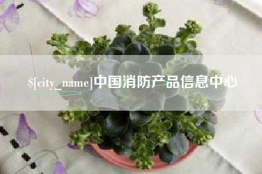 新沂中国消防产品信息中心