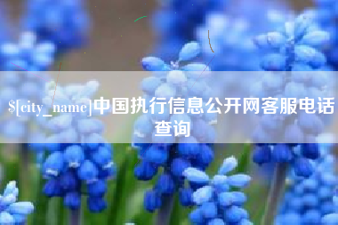 新沂中国执行信息公开网客服电话查询