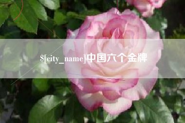 新沂中国六个金牌