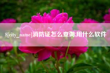 新沂消防证怎么查询,用什么软件
