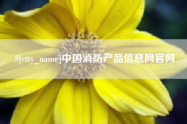 新沂中国消防产品信息网官网