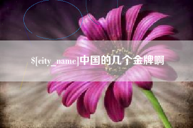 新沂中国的几个金牌啊