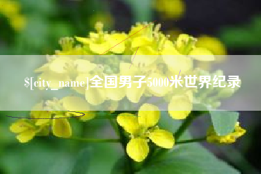 新沂全国男子5000米世界纪录