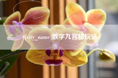 新沂数字九宫格玩法