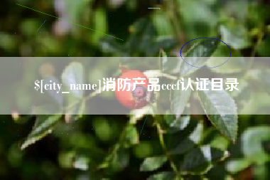 新沂消防产品cccf认证目录