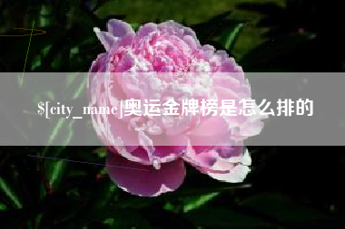 新沂奥运金牌榜是怎么排的