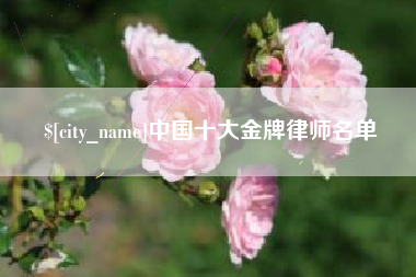 新沂中国十大金牌律师名单