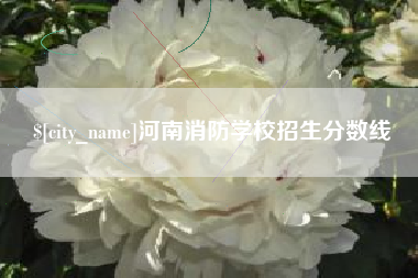 新沂河南消防学校招生分数线