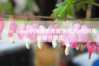 新沂中国消防救援学院2020年河南录取分数线