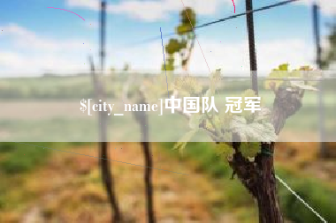 新沂中国队 冠军