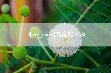 新沂九宫格42633