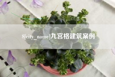 新沂九宫格建筑案例
