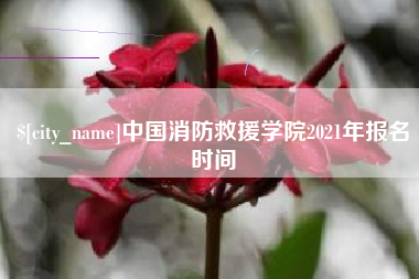 新沂中国消防救援学院2021年报名时间