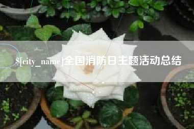 新沂全国消防日主题活动总结