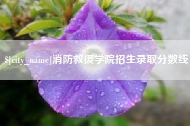新沂消防救援学院招生录取分数线