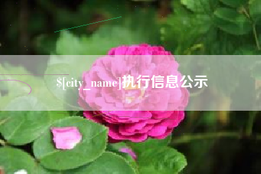 新沂执行信息公示