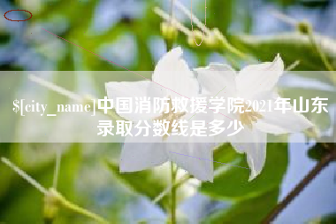 新沂中国消防救援学院2021年山东录取分数线是多少