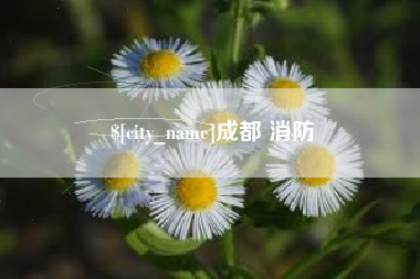 新沂成都 消防