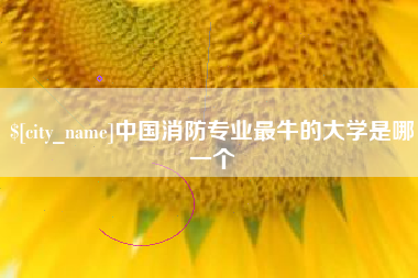 新沂中国消防专业最牛的大学是哪一个