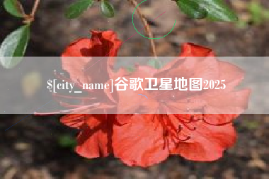 新沂谷歌卫星地图2025