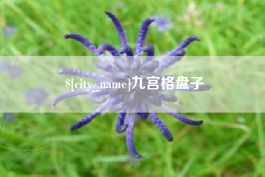 新沂九宫格盘子