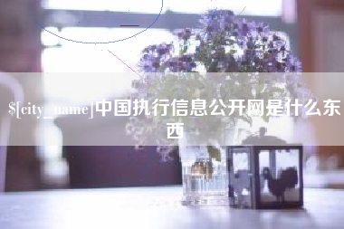 新沂中国执行信息公开网是什么东西