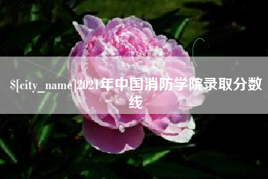 新沂2021年中国消防学院录取分数线